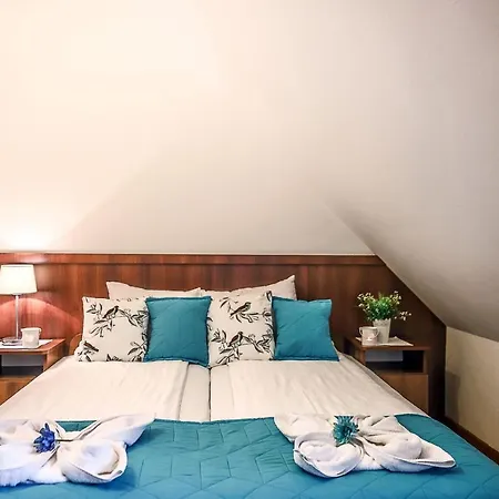 Rodzinny Dom I Apartamenty U Ciwersa Z Balia W Ogrodzie Bialka Tatrzanska Exterior photo
