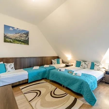 Rodzinny Dom I Apartamenty U Ciwersa Z Balia W Ogrodzie Bialka Tatrzanska Exterior photo